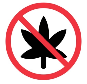 No canabis